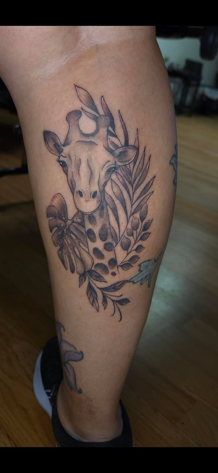 Aryana’s portfolio