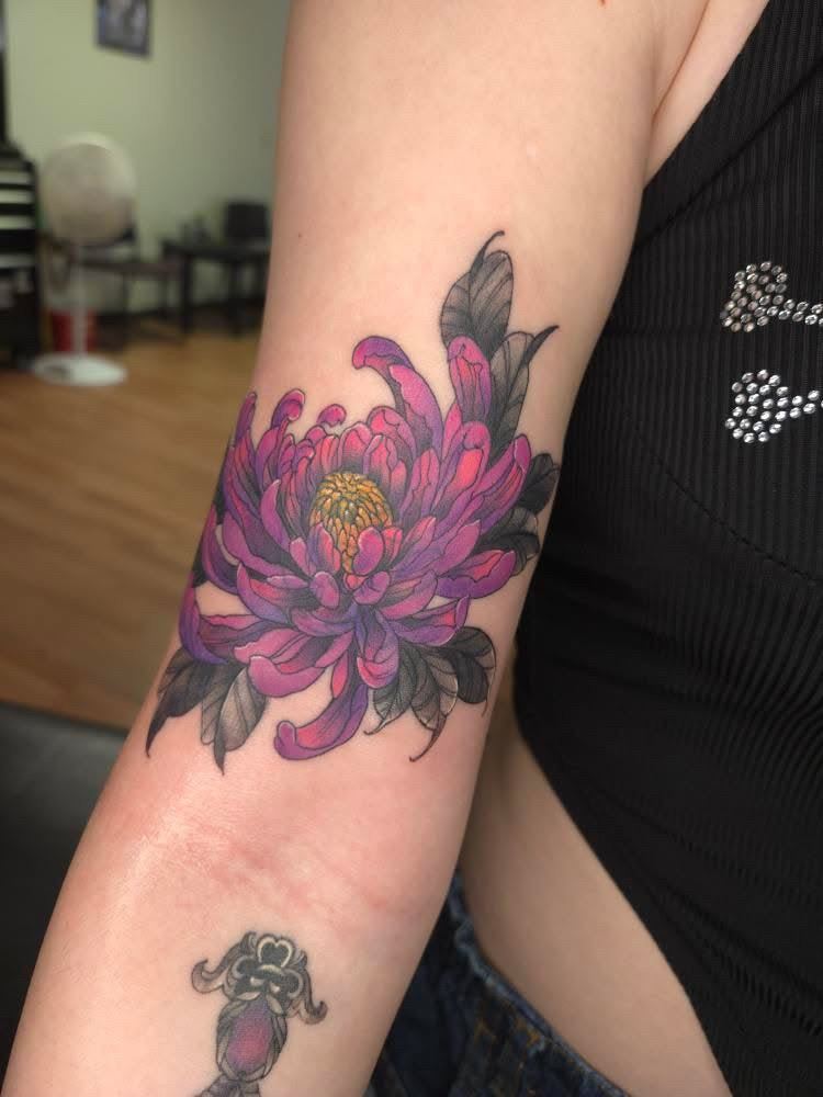 Aryana’s portfolio