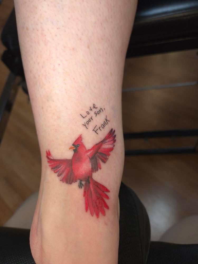 Aryana’s portfolio