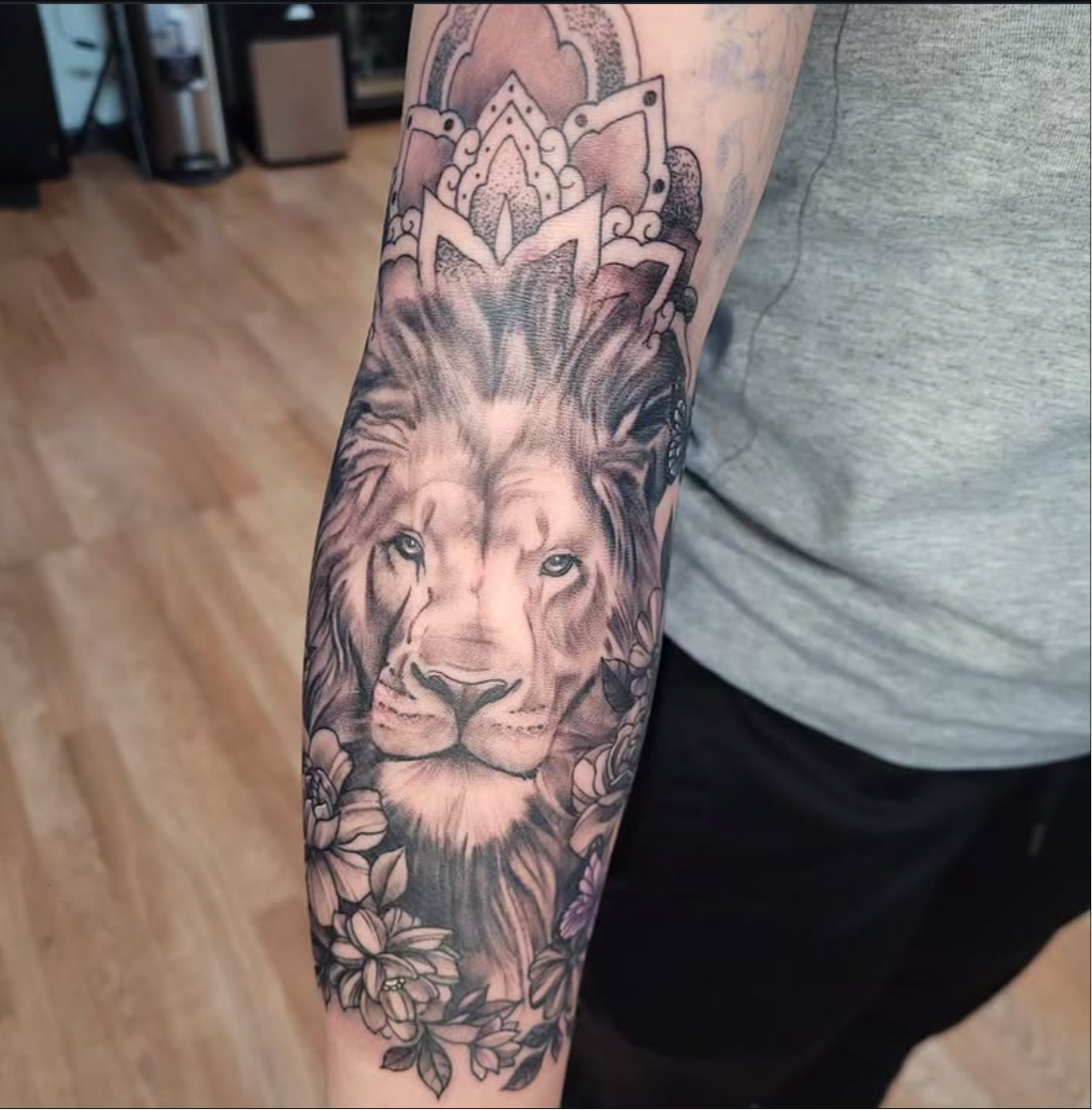 Aryana’s portfolio