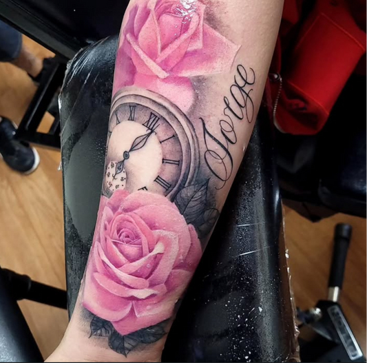 Aryana’s portfolio