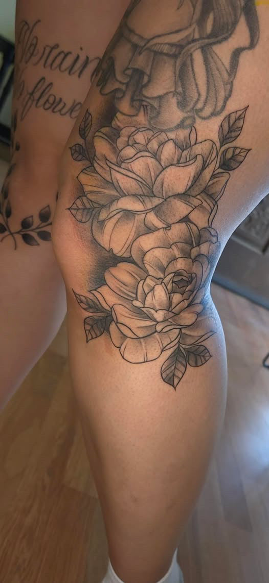 Aryana’s portfolio